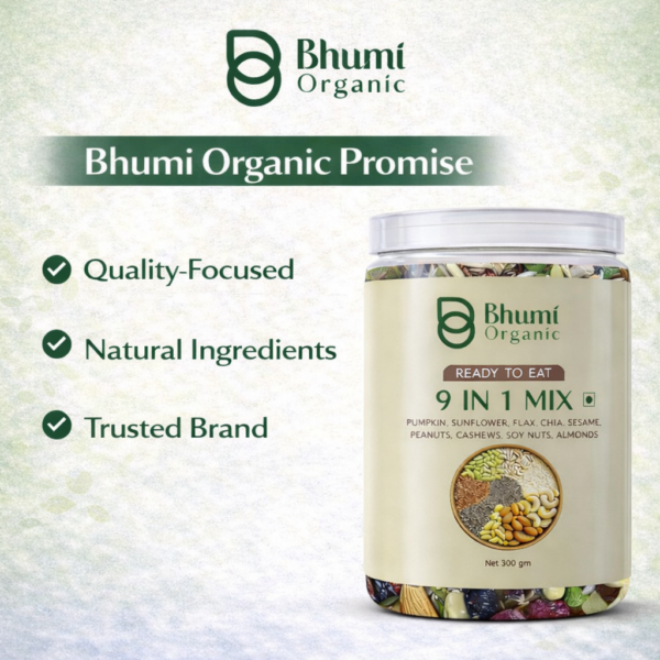 Bhumi Organic 9 in 1 Snack Mix – Nuts & Seeds Mix (300g)