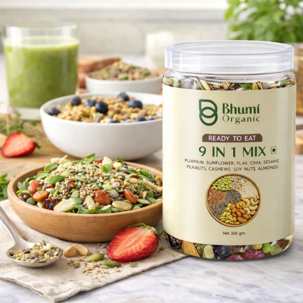 Bhumi Organic 9 in 1 Snack Mix – Nuts & Seeds Mix (300g)