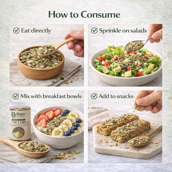 Bhumi Organic 7 in 1 Seeds Mix – Roasted Edible Seeds (300g)