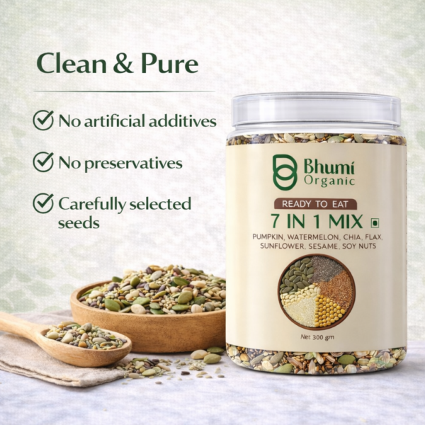 Bhumi Organic 7 in 1 Seeds Mix – Roasted Edible Seeds (300g)