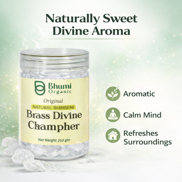 Bhumi Organic Bhimseni Camphor – 100% Pure Solid Kapur (250 g Jar)