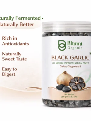 ChatGPT Image Jan 9, 2026, 10_12_30 PM