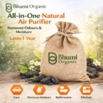 Air Purifier Bag 100g (Pack of 4) with Activated Carbon – Natural Odor & Moisture Absorber for Car, Bathroom, Wardrobe & Office | Removes Bad Smell & Pollutants | Reusable Air Freshener