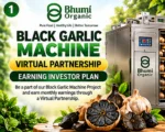 BLACK GARLIC MACHINE VIRTUAL PARTNERSHIP (EARNING INVESTOR )