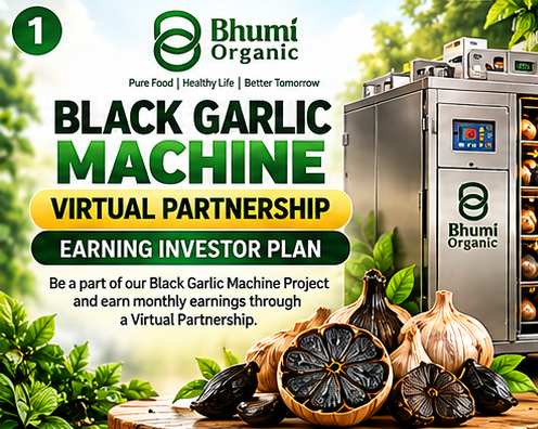 BLACK GARLIC MACHINE VIRTUAL PARTNERSHIP (EARNING INVESTOR )