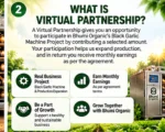 BLACK GARLIC MACHINE VIRTUAL PARTNERSHIP (EARNING INVESTOR )