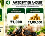 BLACK GARLIC MACHINE VIRTUAL PARTNERSHIP (EARNING INVESTOR )