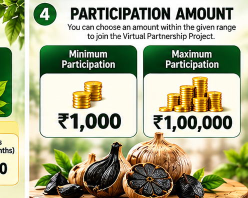 BLACK GARLIC MACHINE VIRTUAL PARTNERSHIP (EARNING INVESTOR )