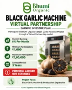 BLACK GARLIC MACHINE VIRTUAL PARTNERSHIP (EARNING INVESTOR )