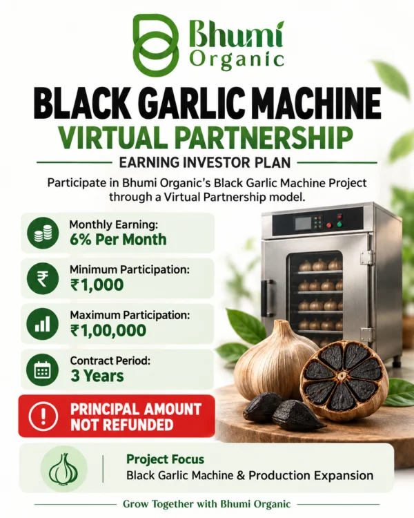 BLACK GARLIC MACHINE VIRTUAL PARTNERSHIP (EARNING INVESTOR )